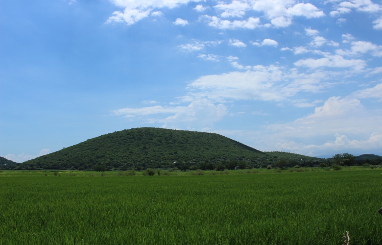 Cerro de la Tortuga